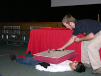 Fireball Assembly